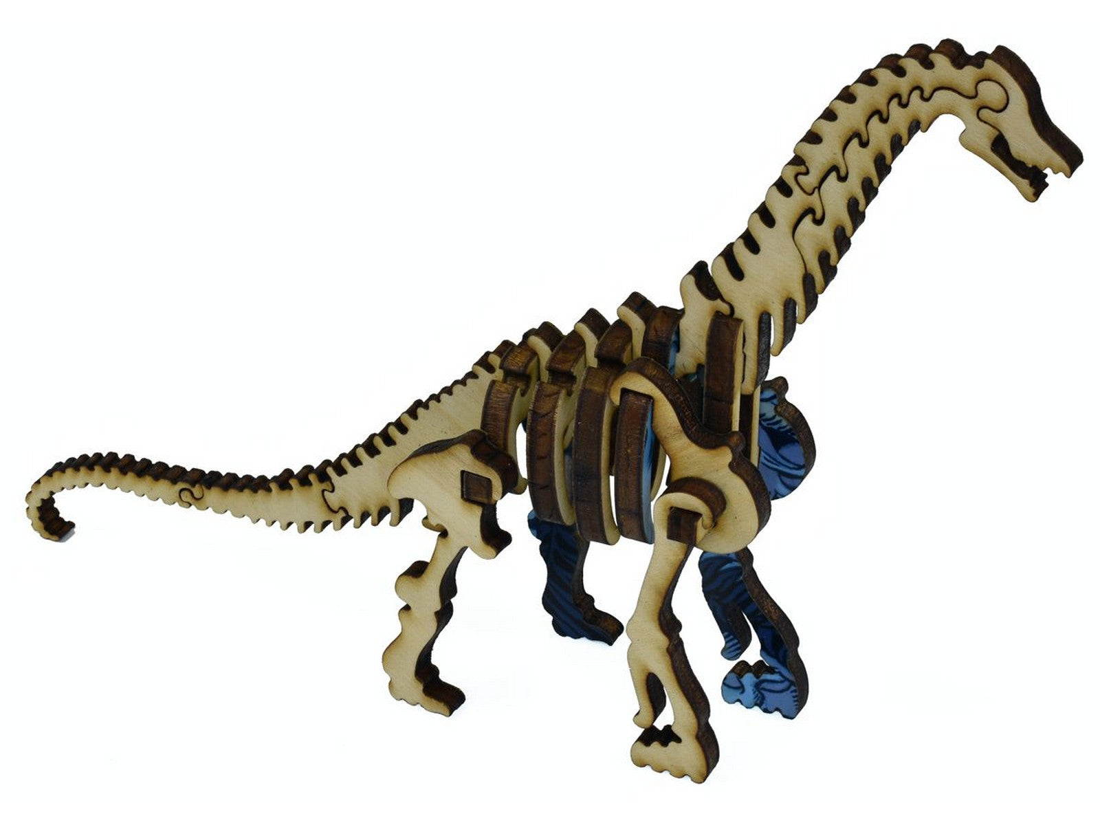 A closeup of pieces that go together to make a three dimensional Apatosaurus skeleton.