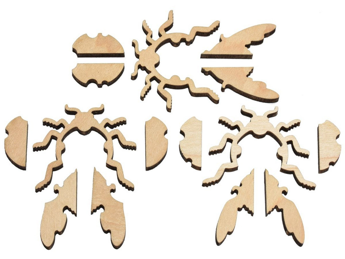 the pieces that when put together make three dimensional beetles in the Social Graces puzzle.