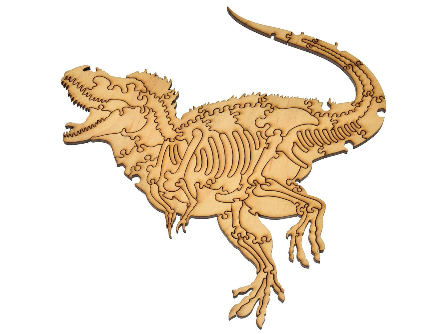 A closeup of pieces that make a Tyrannosaurus and its skeleton