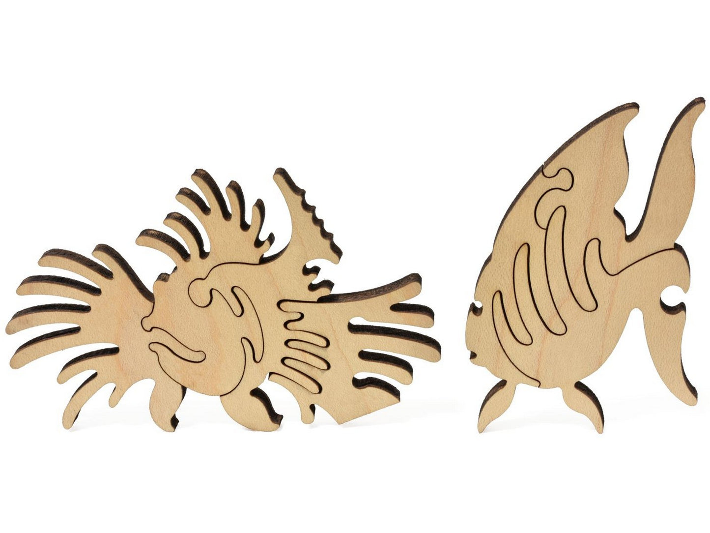 A closeup of whimsies that make two fish swimming in Underwater World II.