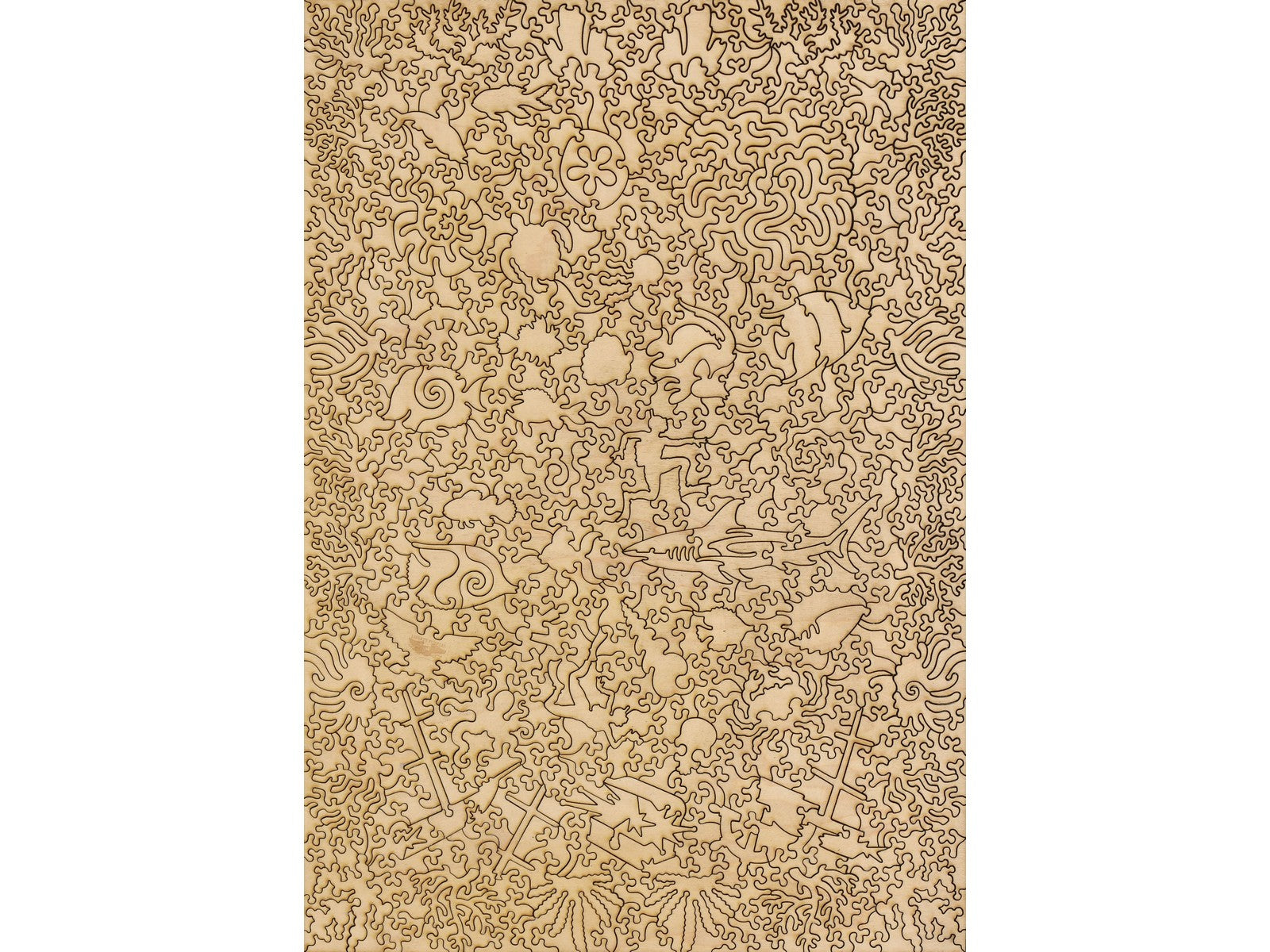 The back of the puzzle, Australia.