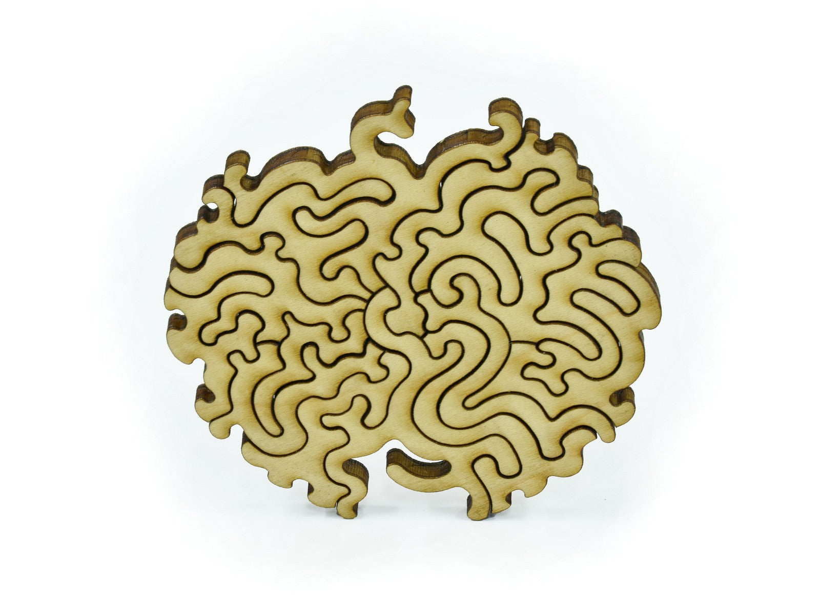 A closeup of pieces in the shape of a brain coral.
