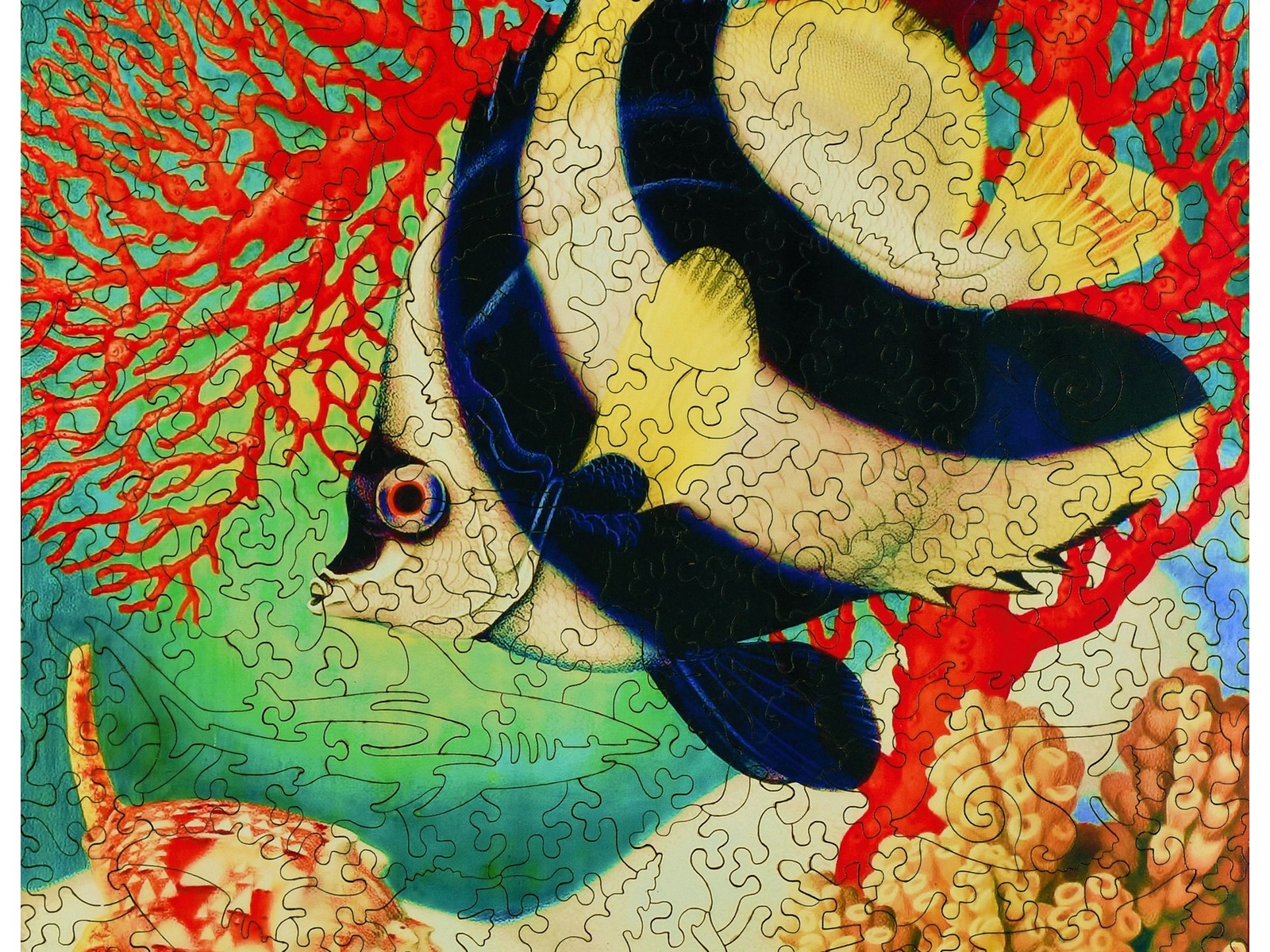 A closeup of the front of the puzzle, Australia, showing the detail in the pieces.