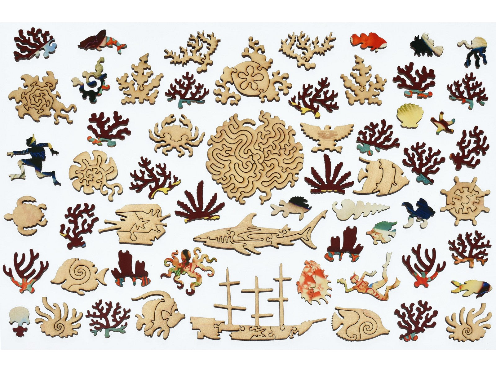 The whimsies that can be found in the puzzle, Australia.