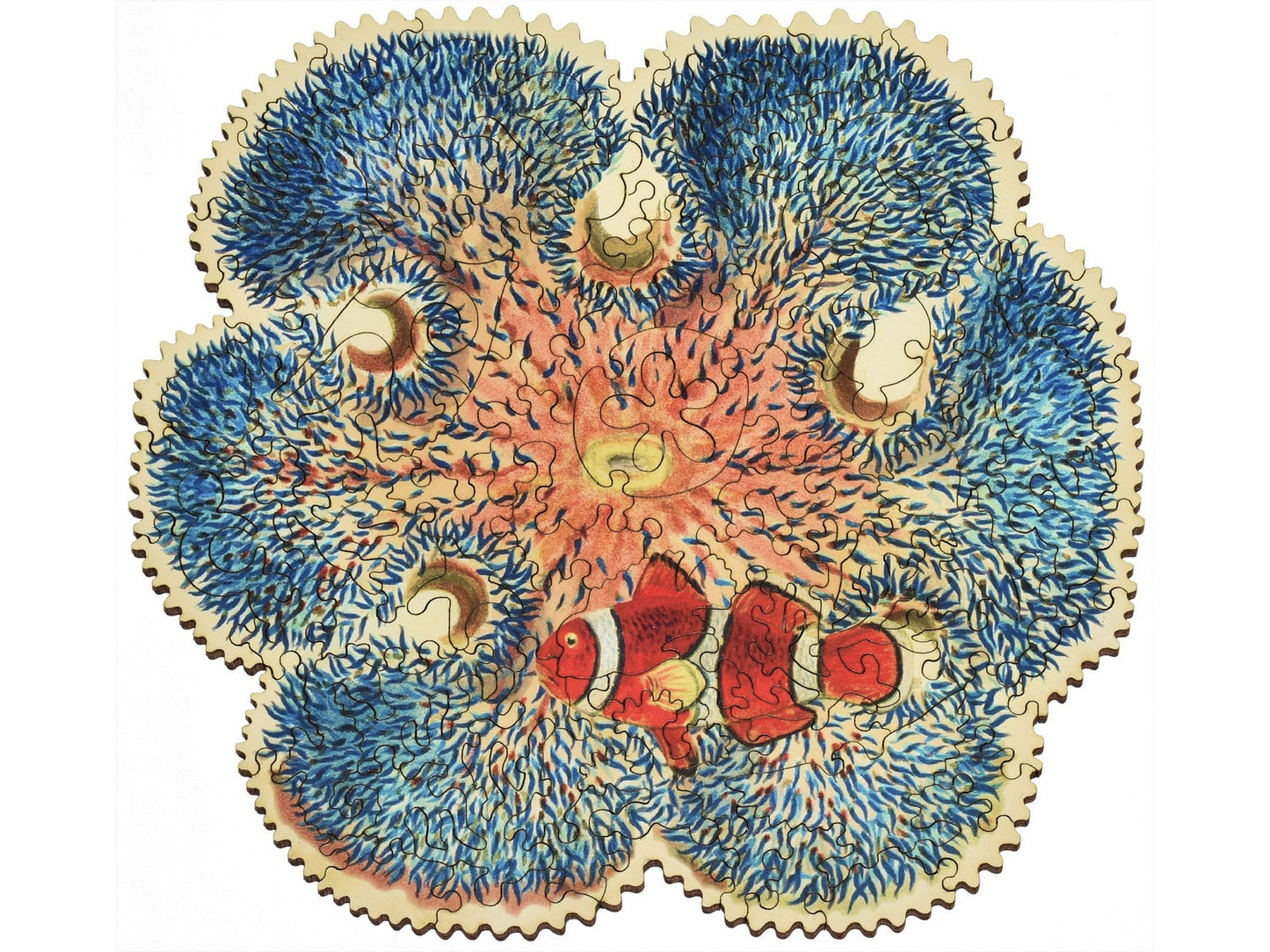 The front of the puzzle Barrier Reef Anemone.