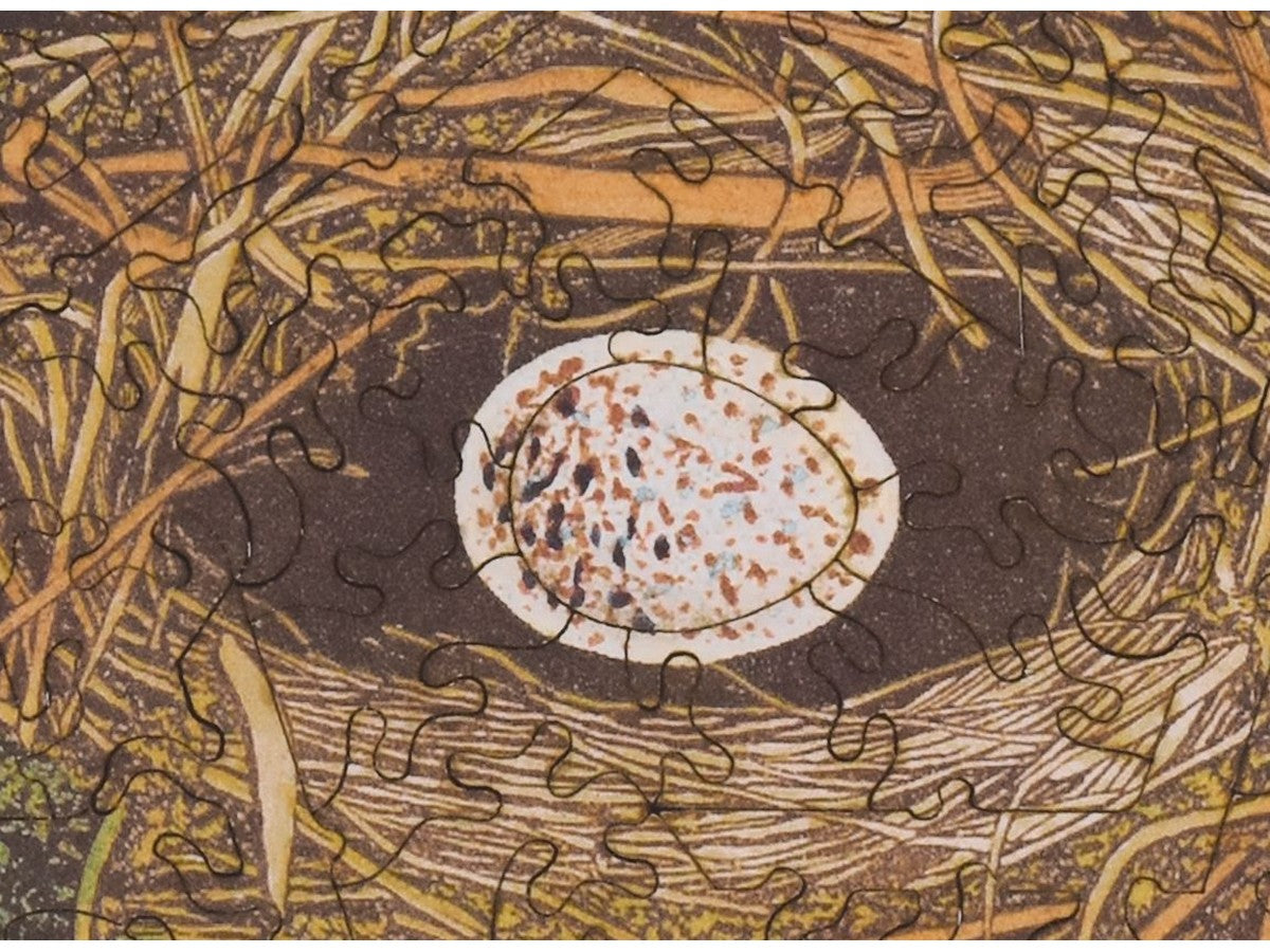 A closeup of the front of the puzzle, Bird's Nest.