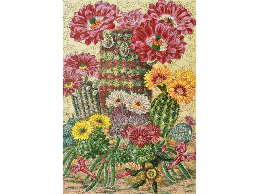 The front of the puzzle, Cactus Flowers.