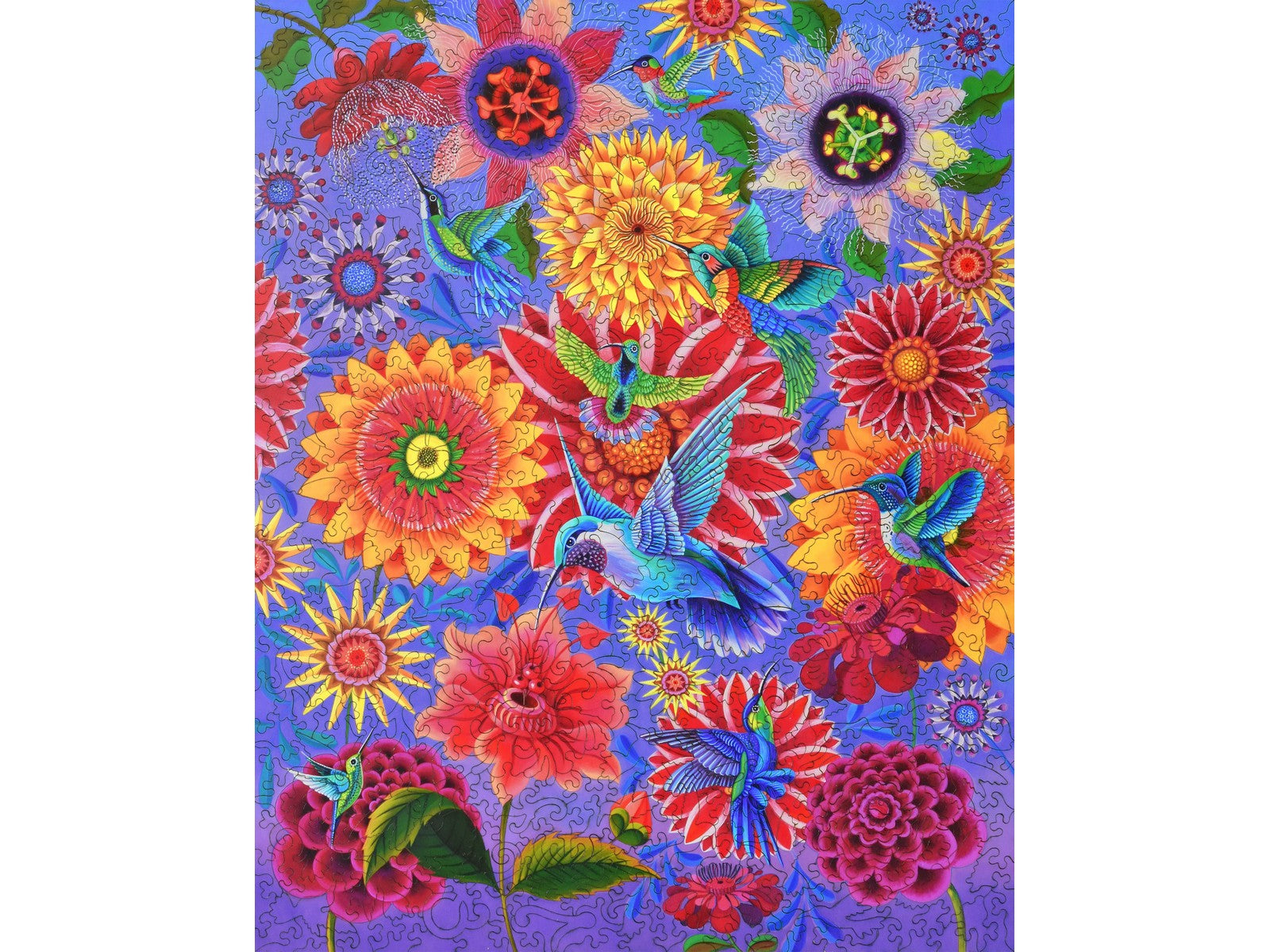 The front of the puzzle, A Charm of Hummingbirds.