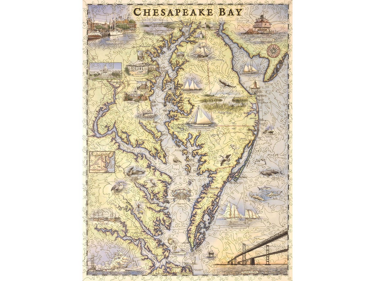 The front of the puzzle, Chesapeake Bay Map.