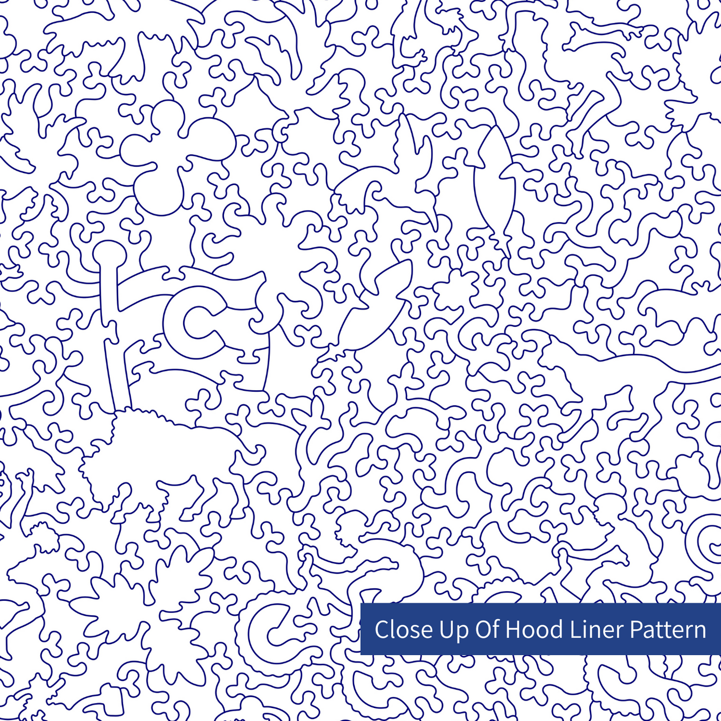 Whimsy-Lined Zip Hoodie