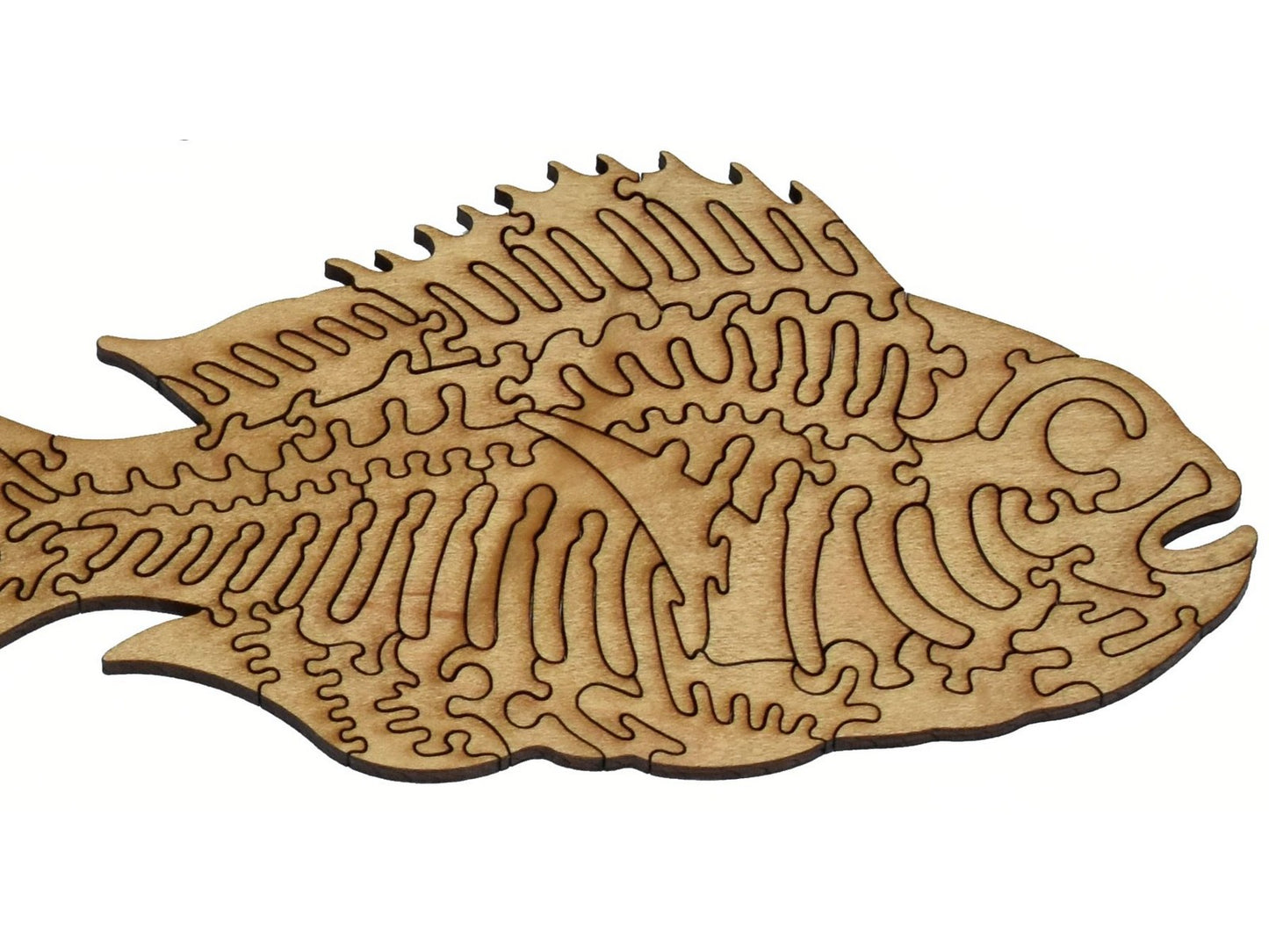A closeup of the back of the puzzle, Colorful Fish of the East Indies, showing the detail in the pieces.