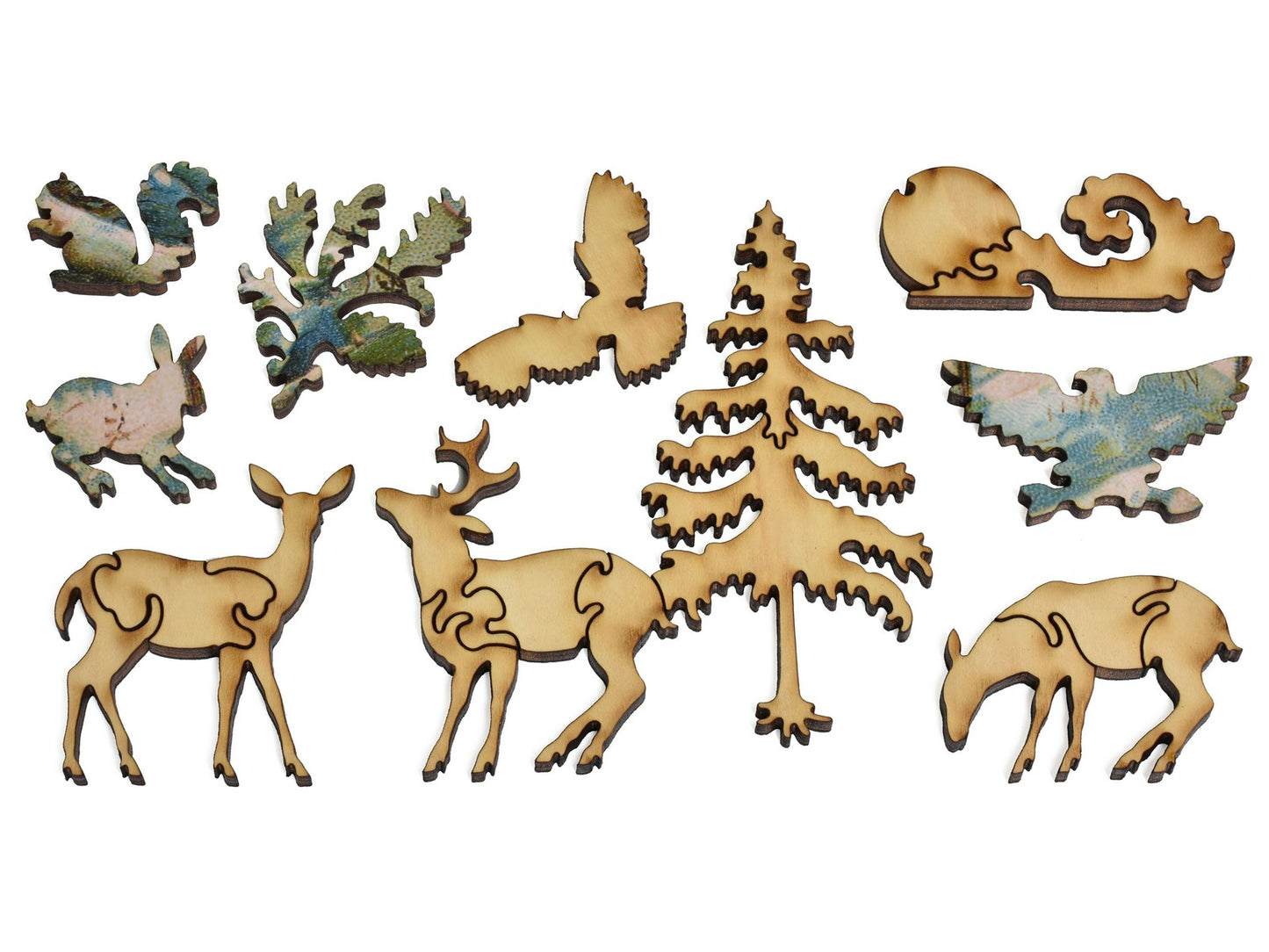 The whimsies that can be found in the puzzle, Foraging at First Light.