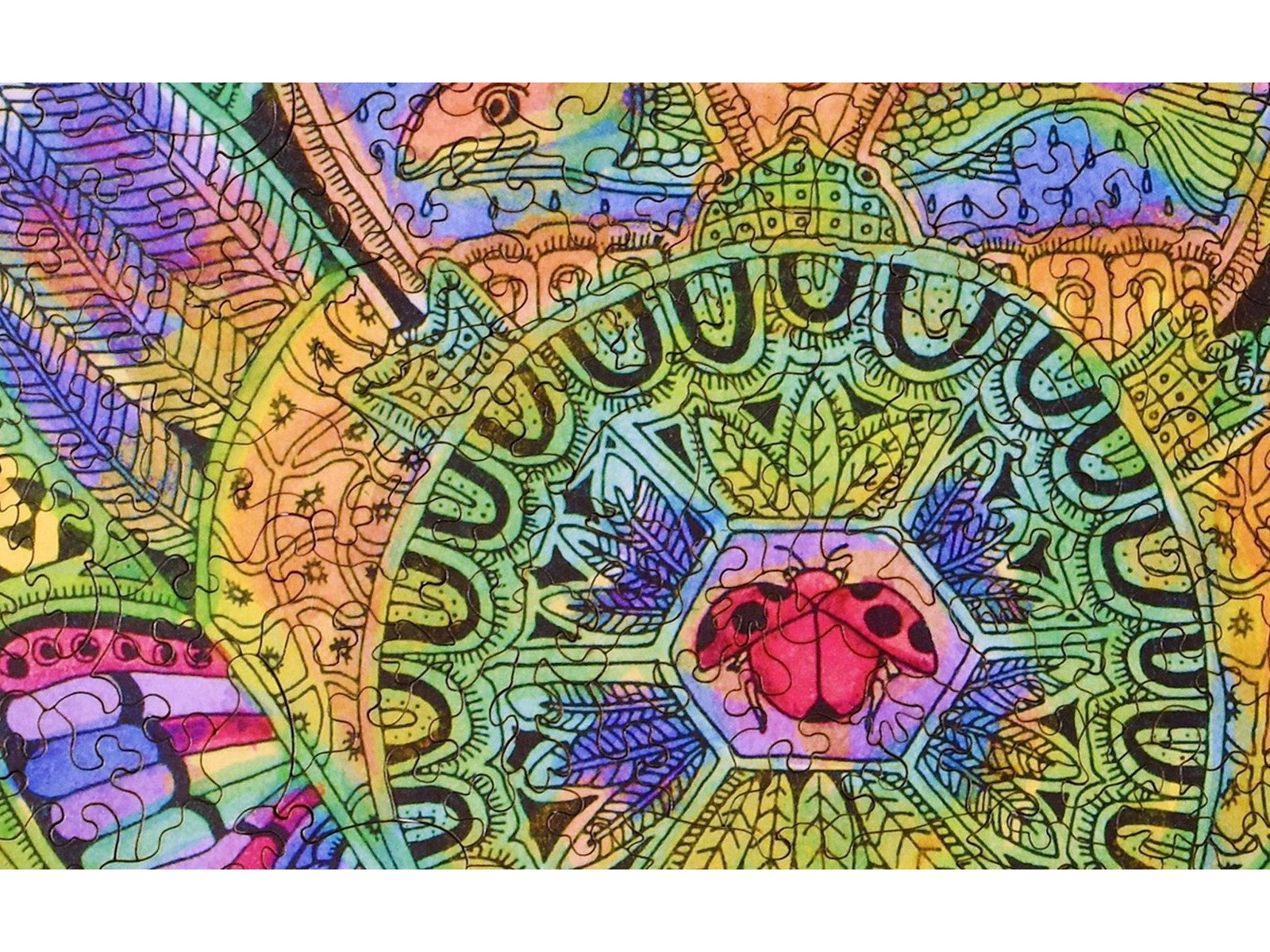 A closeup of the front of the puzzle, Frog.