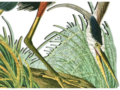A closeup of the front of the puzzle, Great Blue Heron.