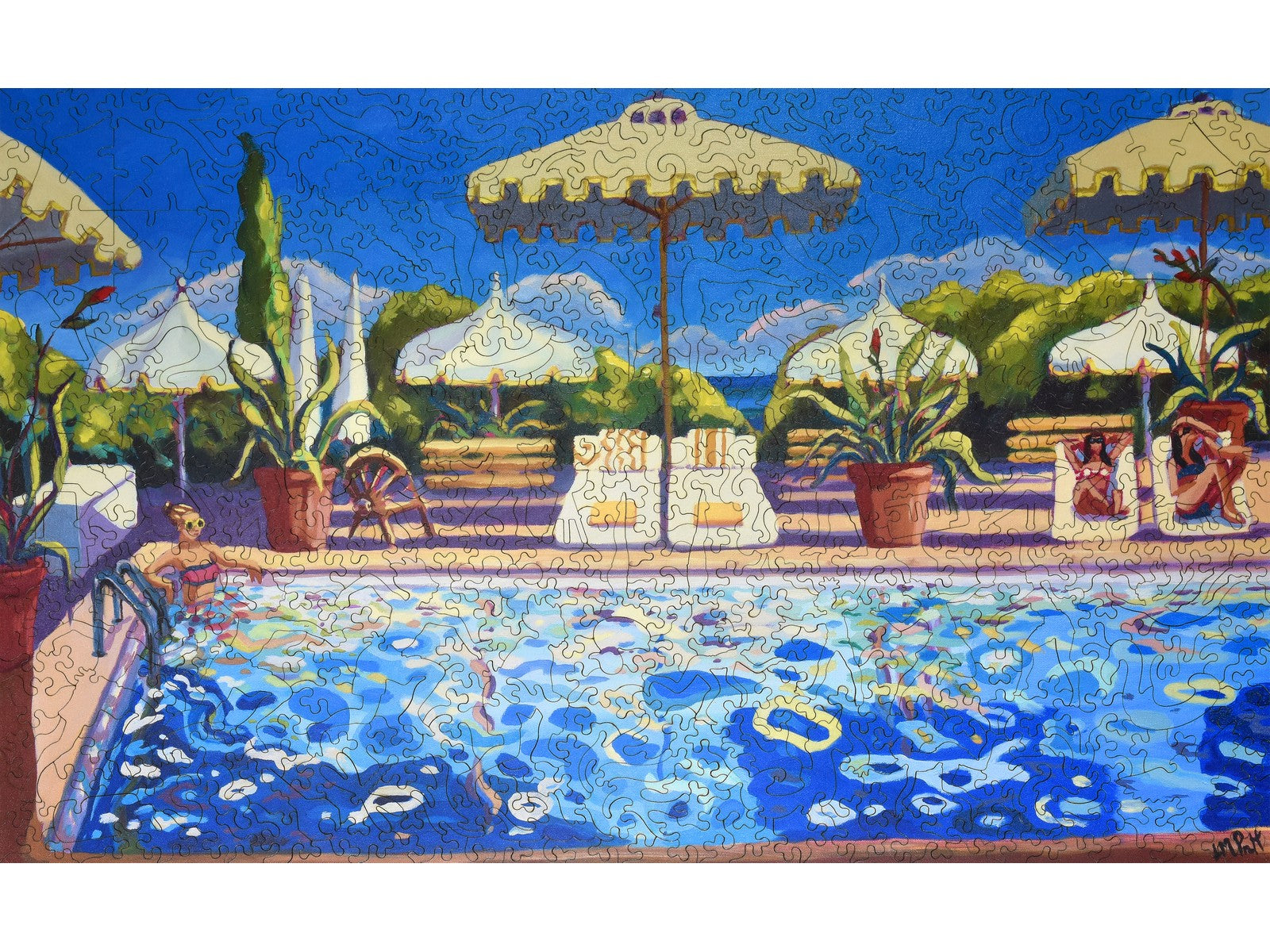 The front of the puzzle, Pool Patterns.