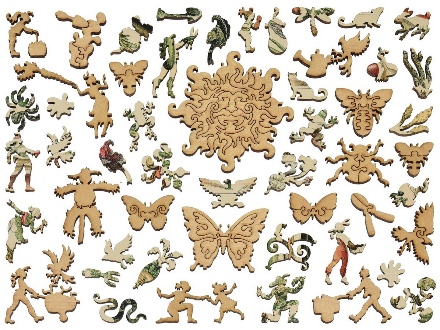 The whimsies that can be found in the puzzle, Vegetables and Plants.