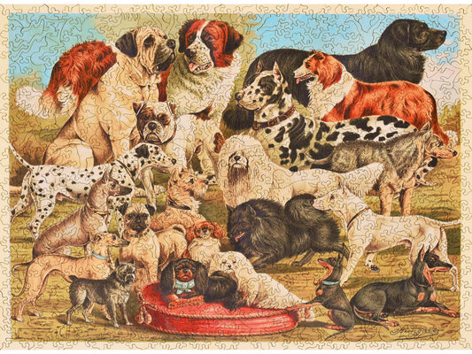 The front of the puzzle, Best in Show, which shows different breeds of dogs.