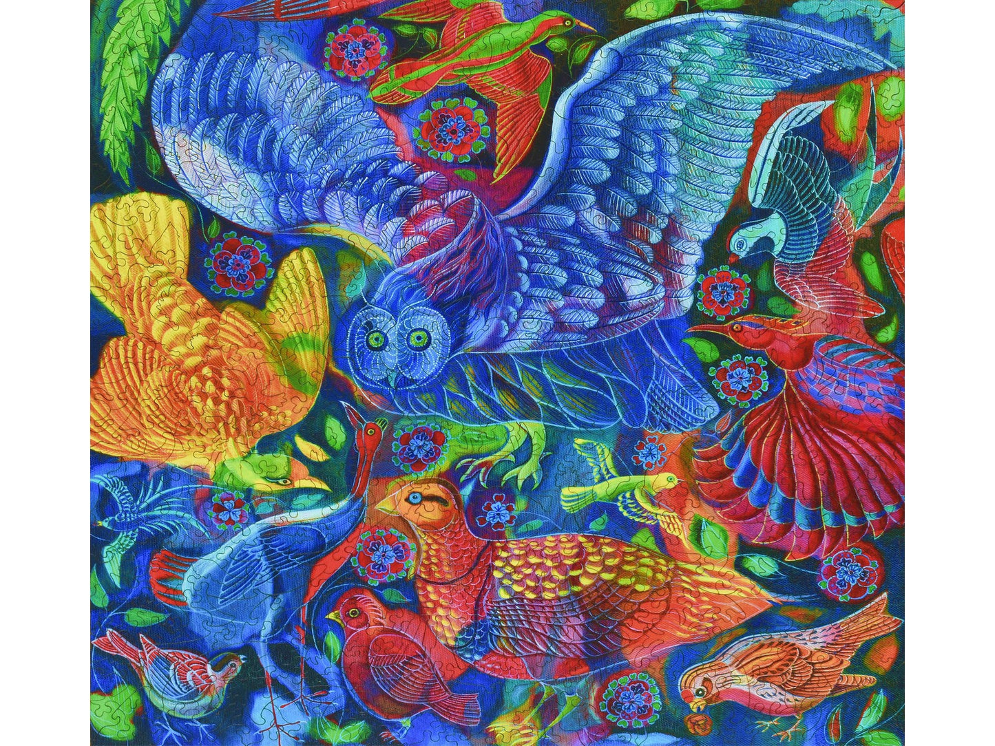 The front of the puzzle, Birds, which shows a drawing of many brightly colored birds.