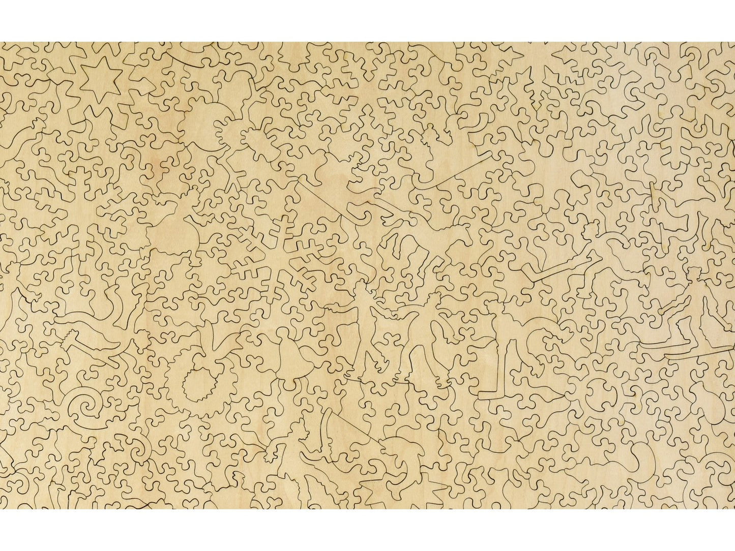 A closeup of the back of the puzzle, Central Park, Winter.
