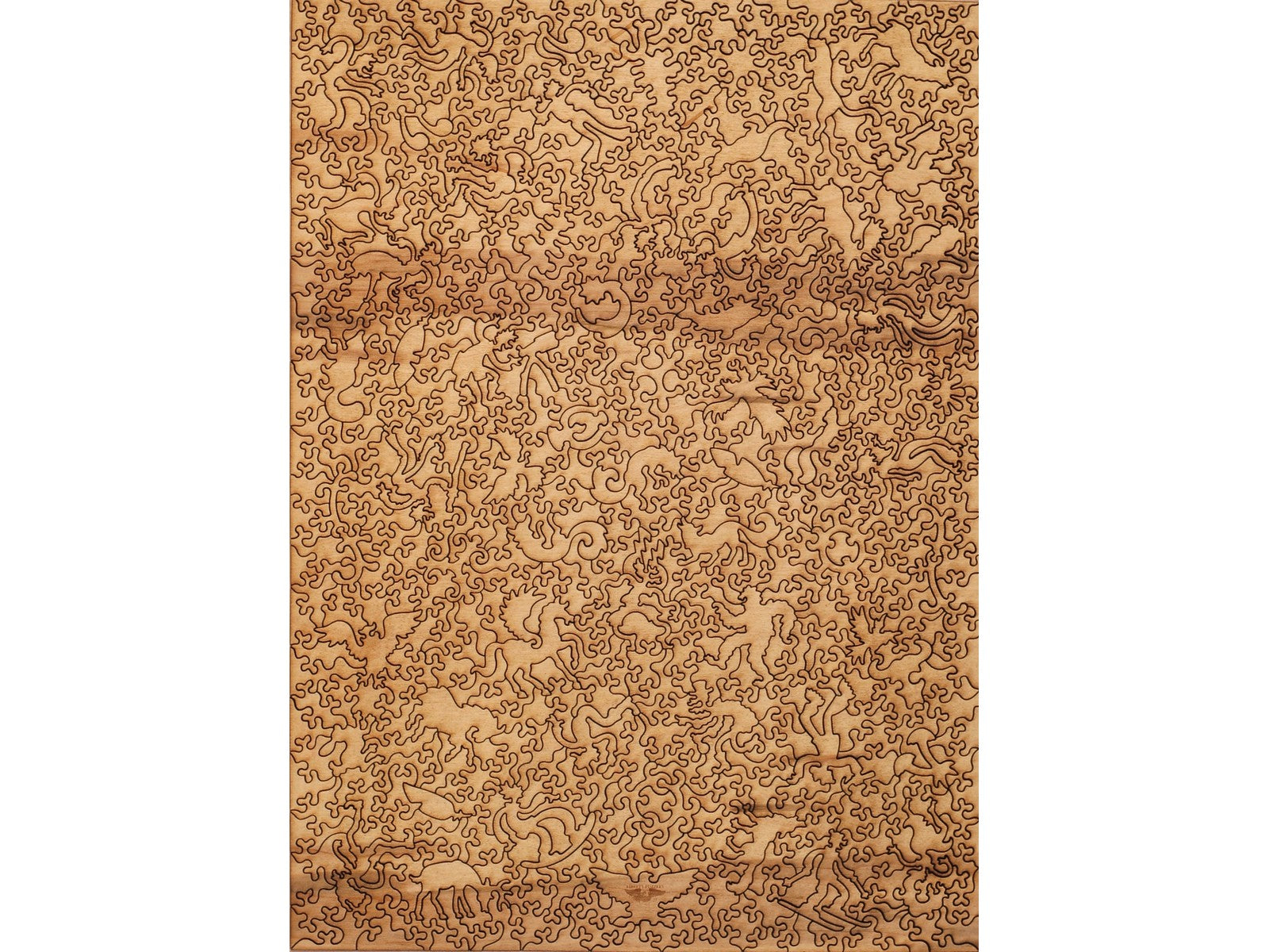 The back of the puzzle, Electric Fox.