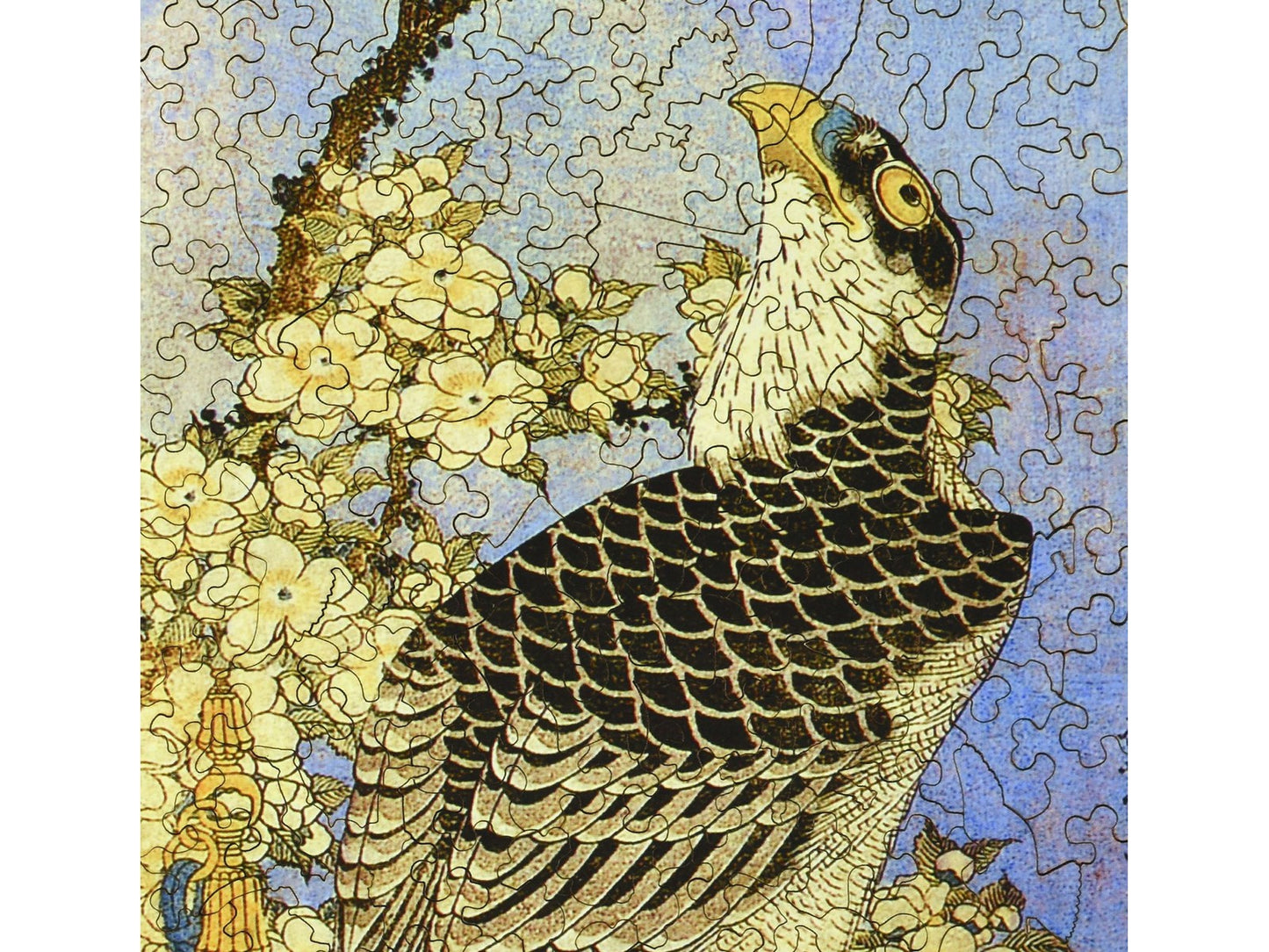 A closeup of the front of the puzzle, Falcon and the Cherry Tree.