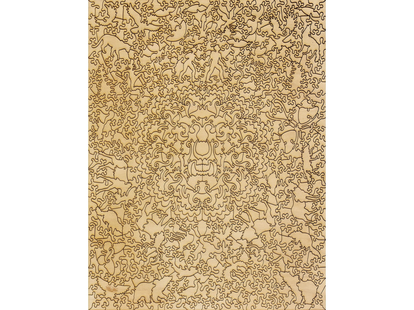 The back of the puzzle, Flight of the Grizzly.