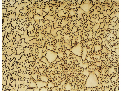 A closeup of the back of the puzzle, In the Garden.