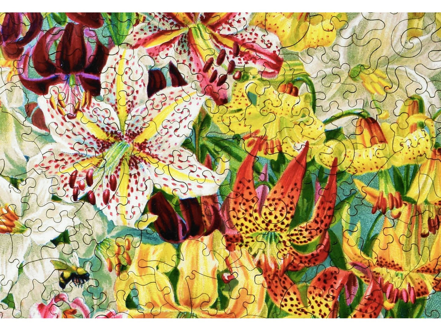 A closeup of the front of the puzzle, Lilies.