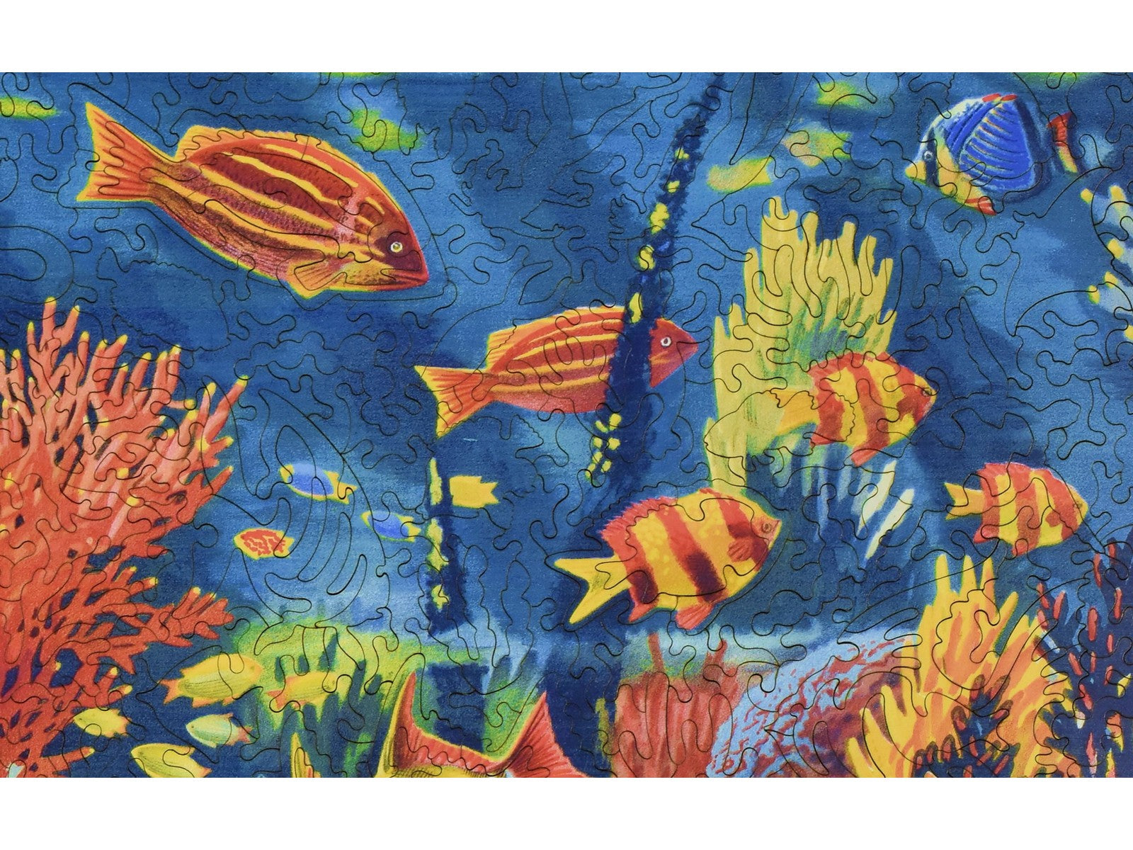A closeup of the front of the puzzle, The Marine Wonders of the Great Barrier Coral Reef.