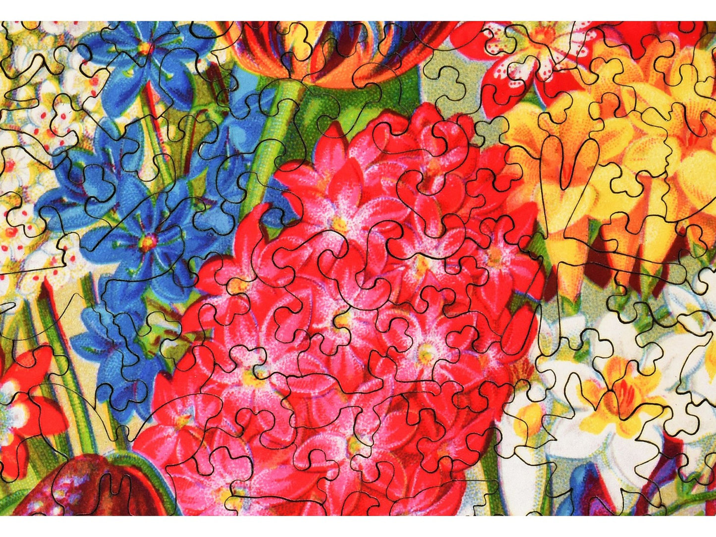 A closeup of the front of the puzzle, Mayflower Premium Bulbs.