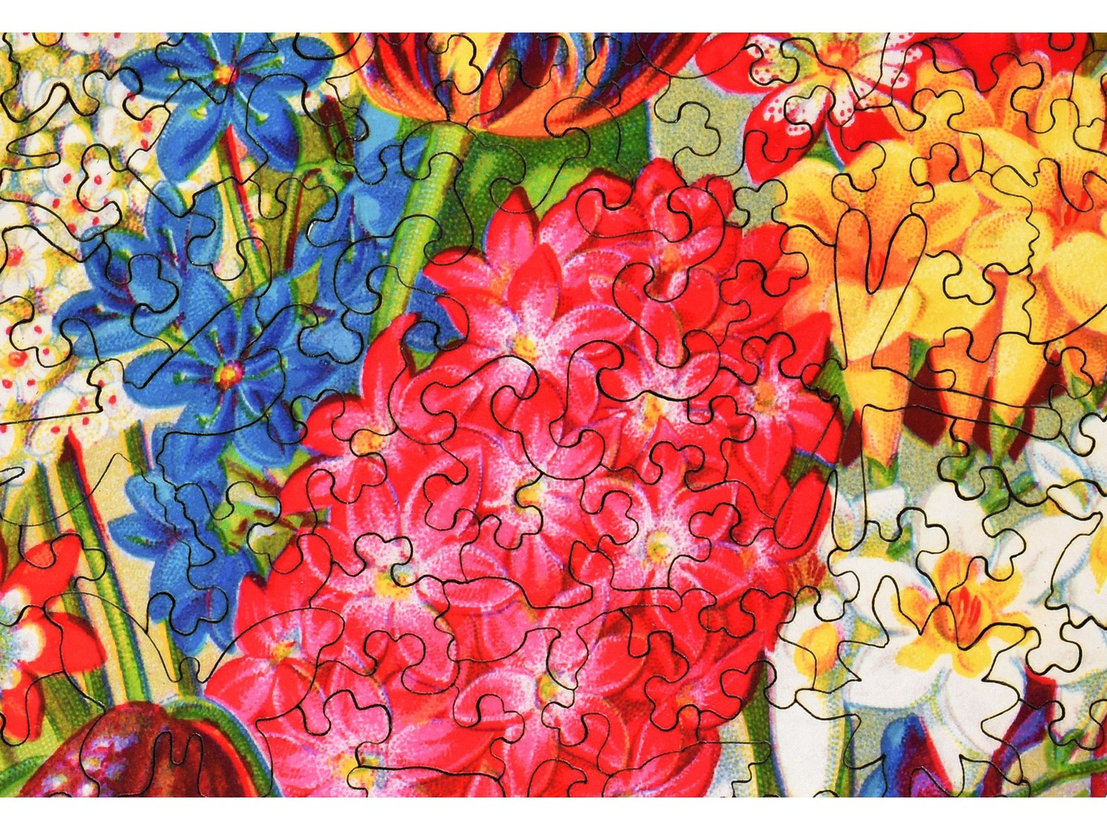 A closeup of the front of the puzzle, Mayflower Premium Bulbs.