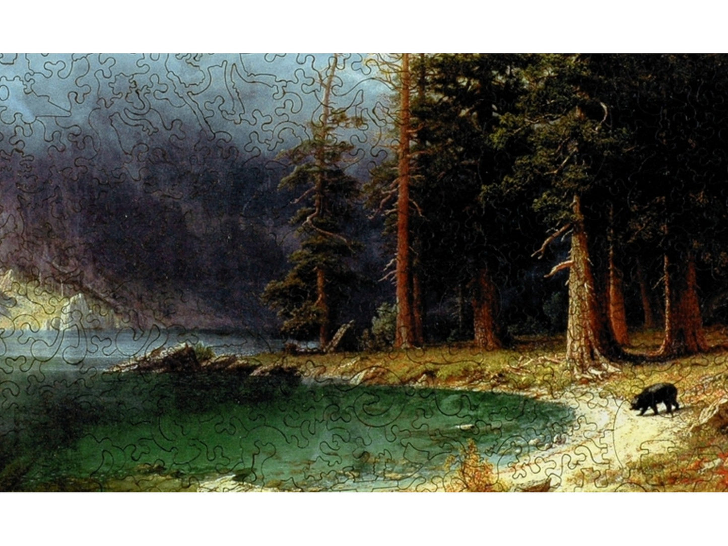 A closeup of the front of the puzzle, Mt. Corcoran.