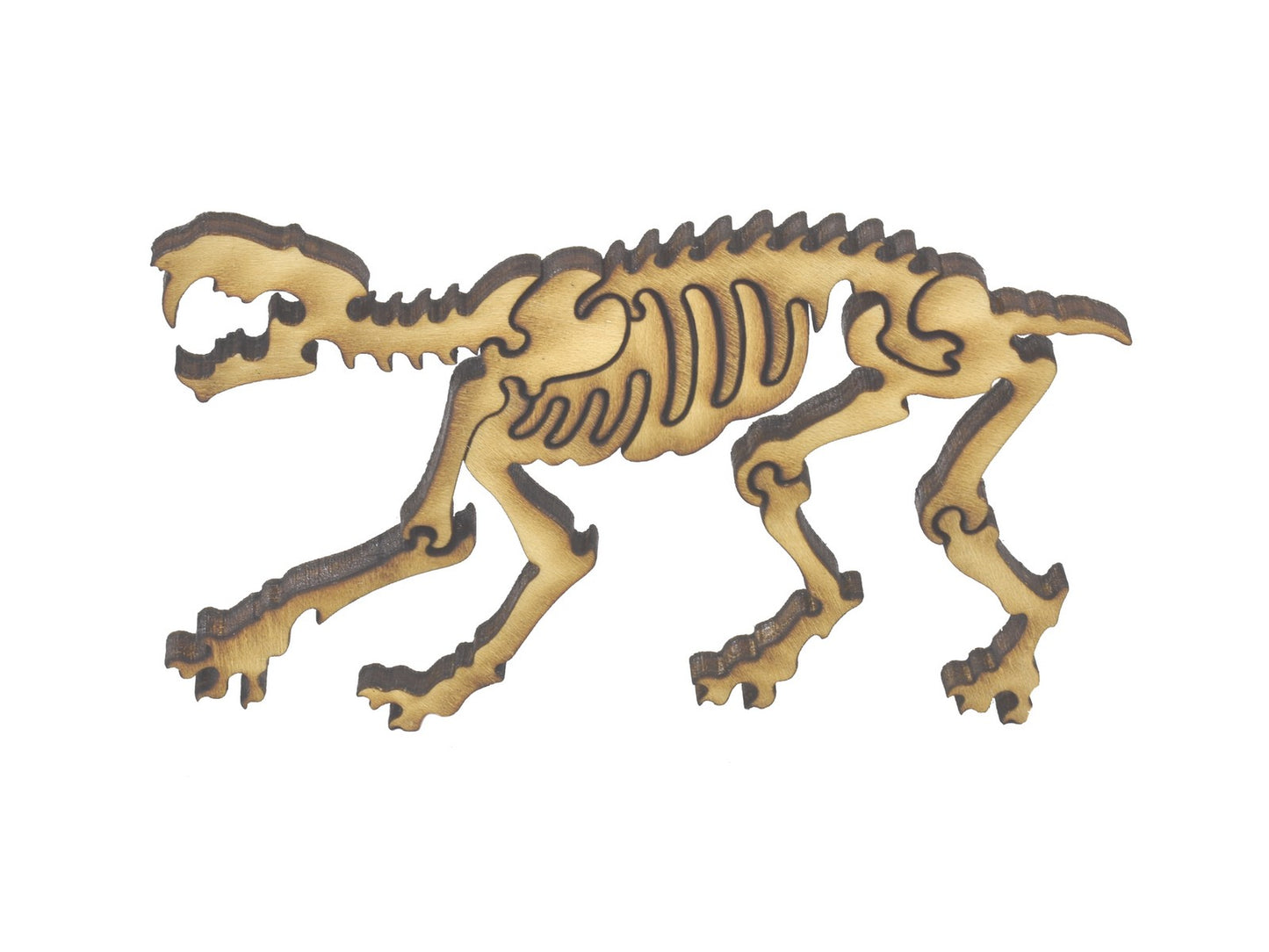 A closeup of pieces in the shape of a Saber Tooth Cat skeleton.