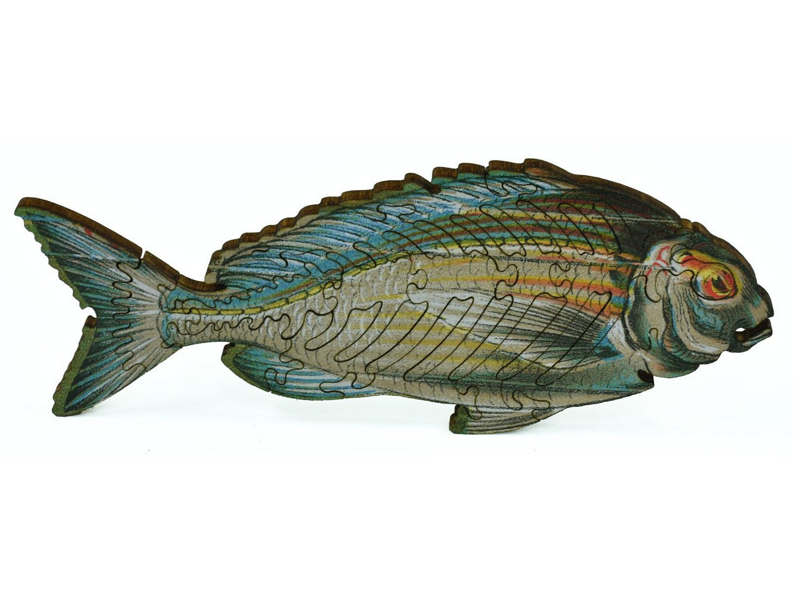 A closeup of pieces showing a large multi-piece fish from the front.