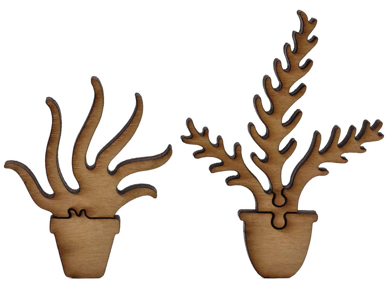 house plants puzzle Sunspots Wooden Jigsaw Puzzle