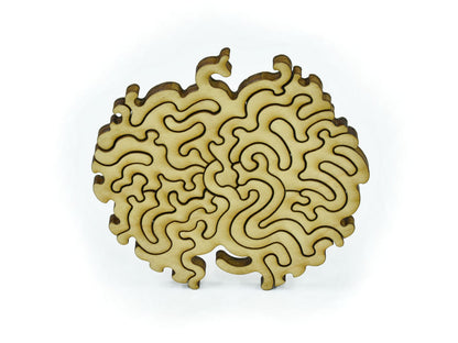 A closeup of pieces in the shape of a brain coral.