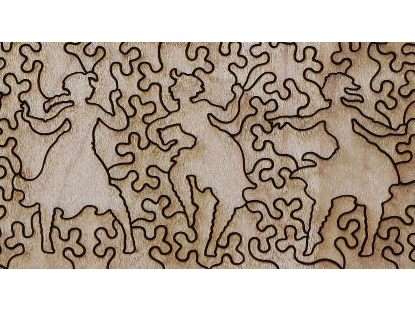 A closeup of the back of the puzzle, The Basque Coast, showing the detail in the pieces.