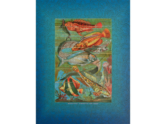 The front of the puzzle, Beautiful Fishes of the Deep.