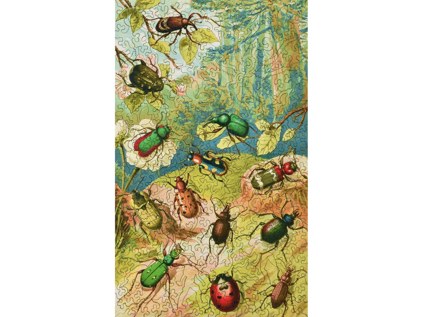 The front of the puzzle, Beetles, which shows different kinds of beetles in a forest.