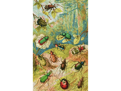 The front of the puzzle, Beetles, which shows different kinds of beetles in a forest.