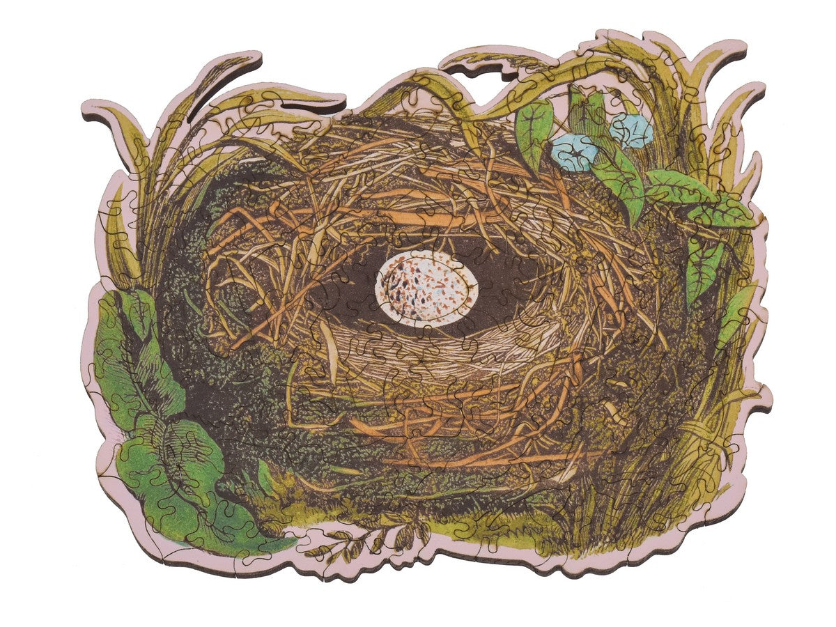 Bird's Nest puzzle