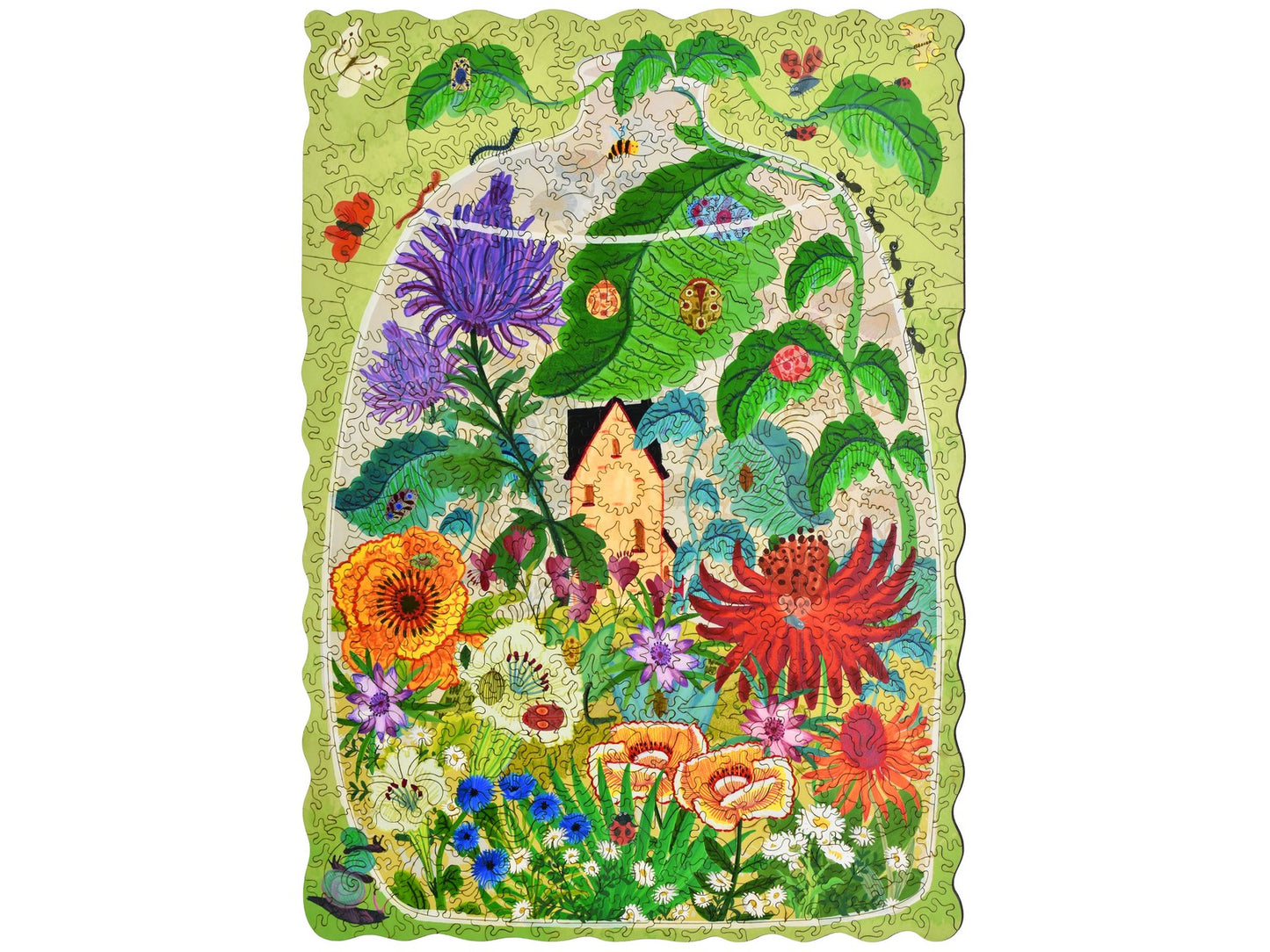 The front of the puzzle, Bug Garden Terrarium.