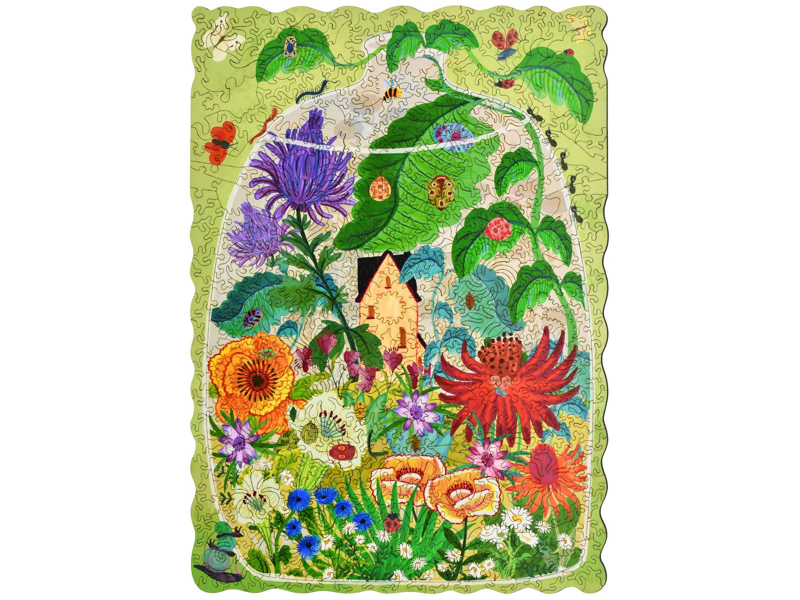 The front of the puzzle, Bug Garden Terrarium.