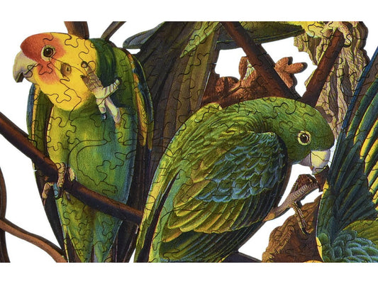 A closeup of the front of the puzzle, Carolina Parakeet.