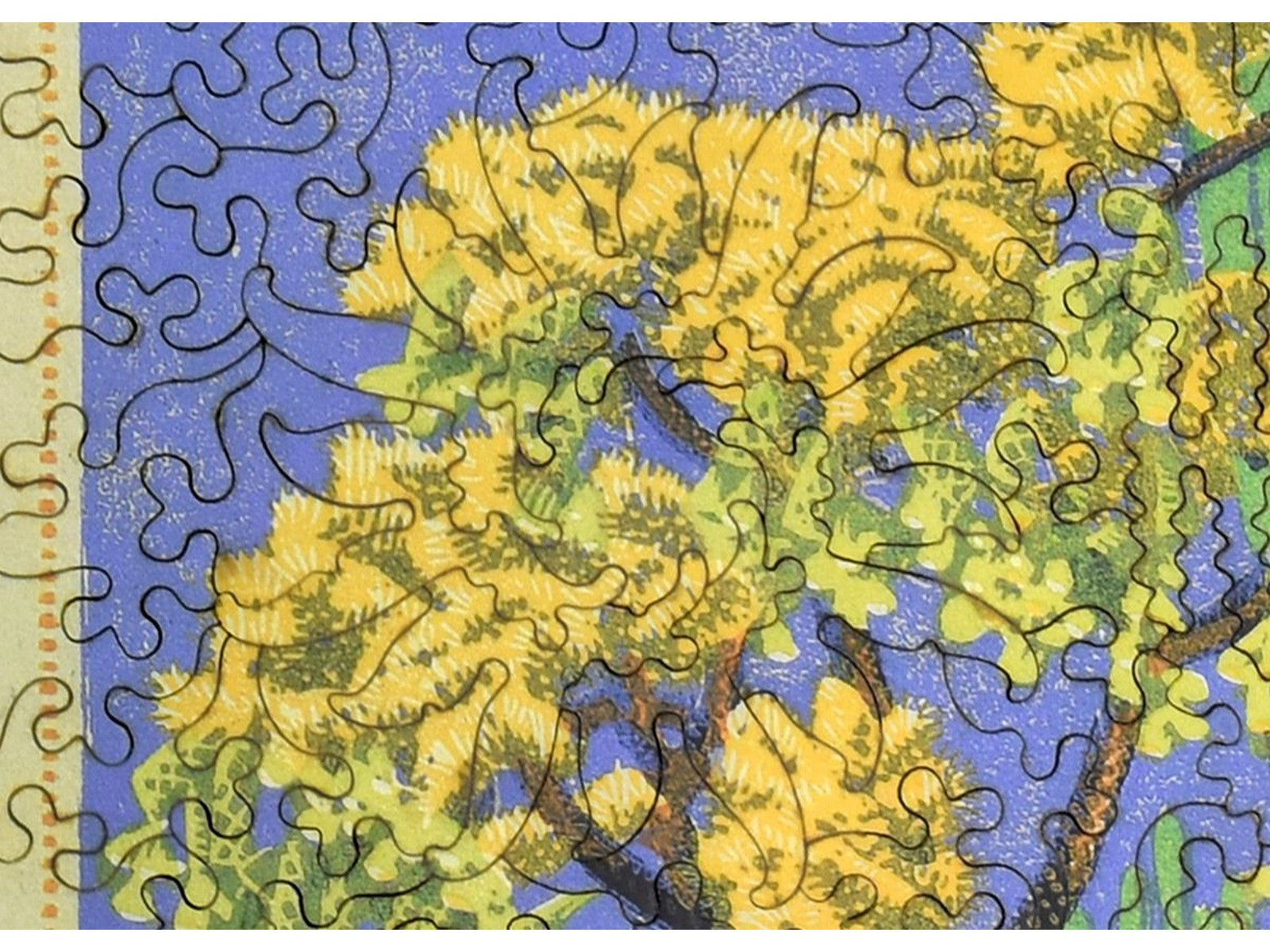 A closeup of the front of the puzzle, Cholla and Sahuaro, showing the detail in the pieces.