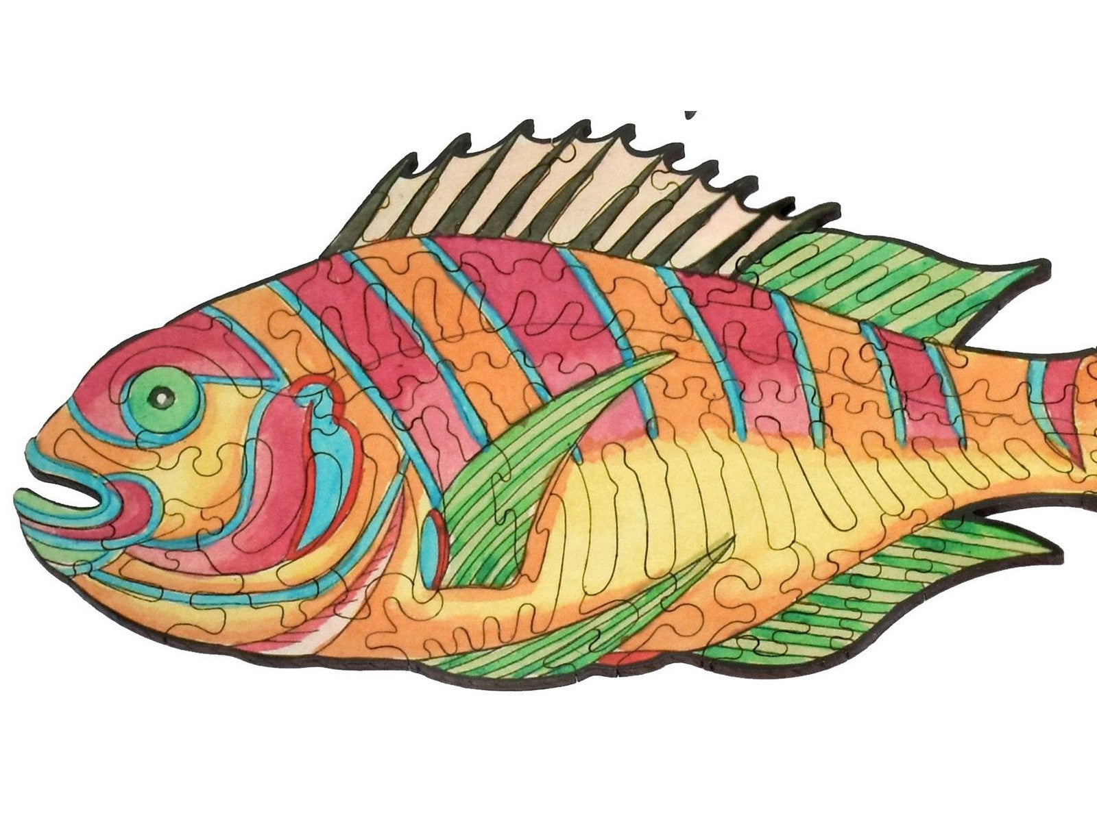 A closeup of the front of the puzzle, Colorful Fish of the East Indies, showing the detail in the pieces.