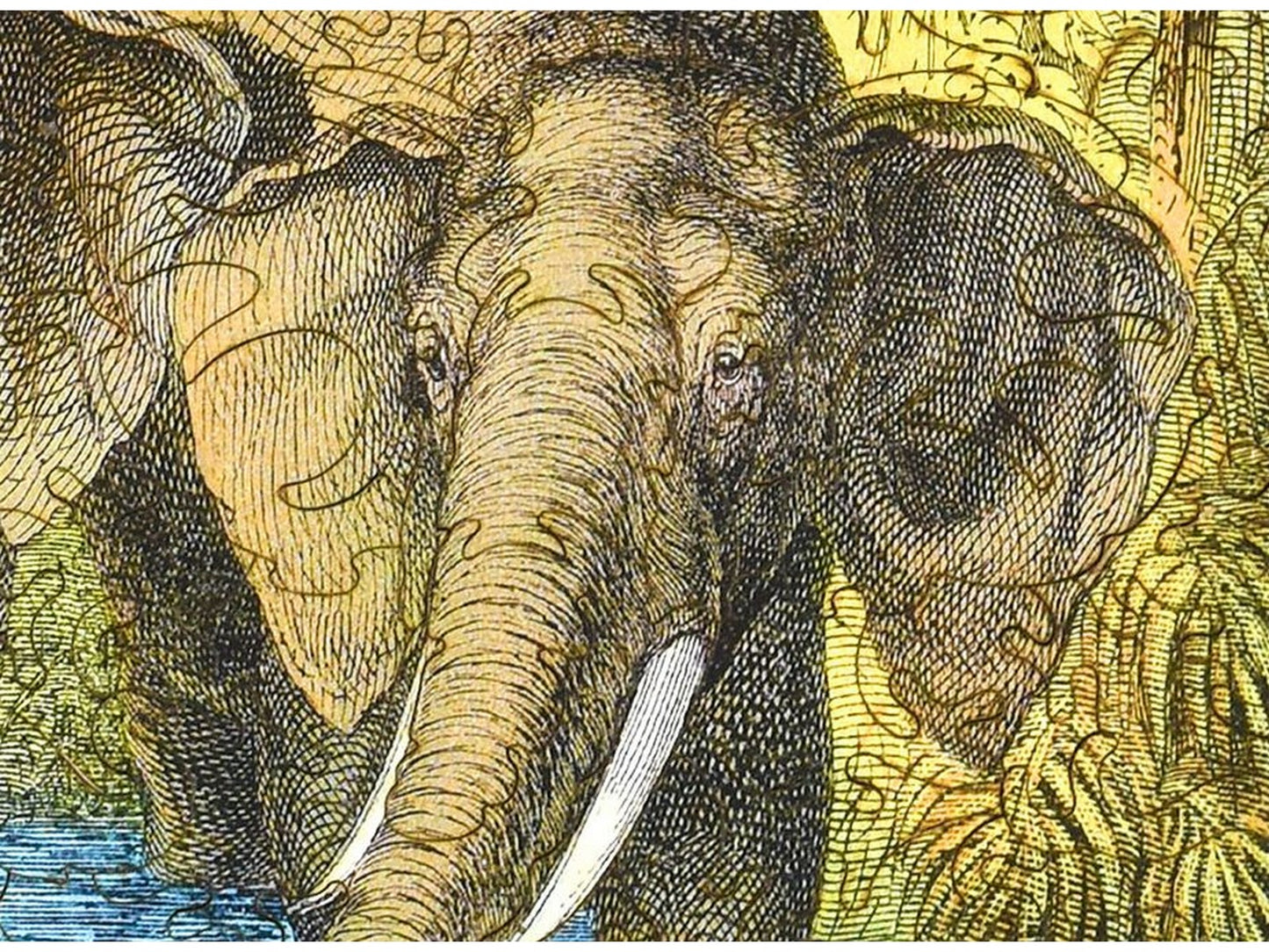 A closeup of the front of the puzzle, Elephant Pool, showing the detail in the pieces.