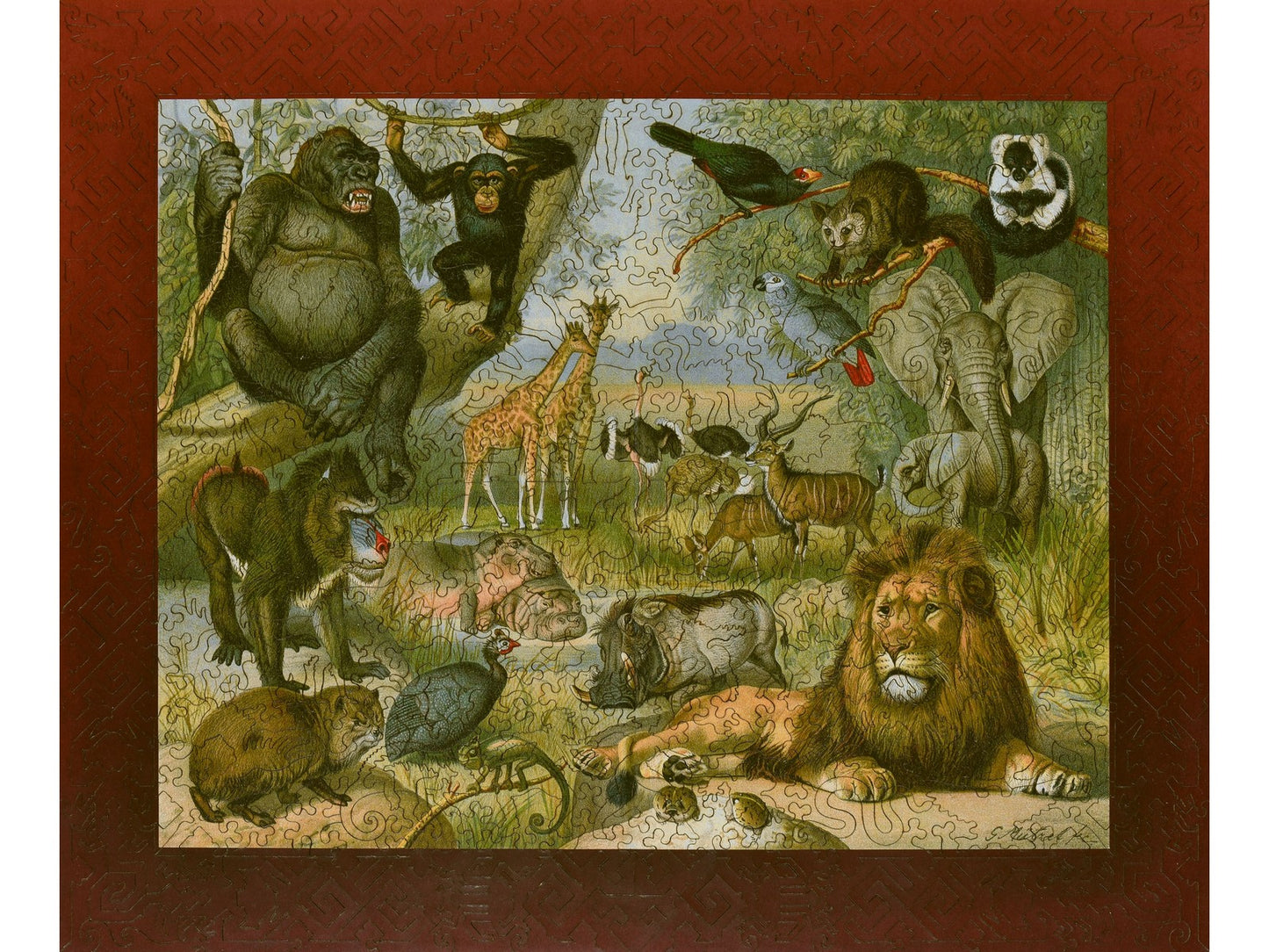 The front of the puzzle, Ethiopian Fauna, with animals gathered in the jungle.