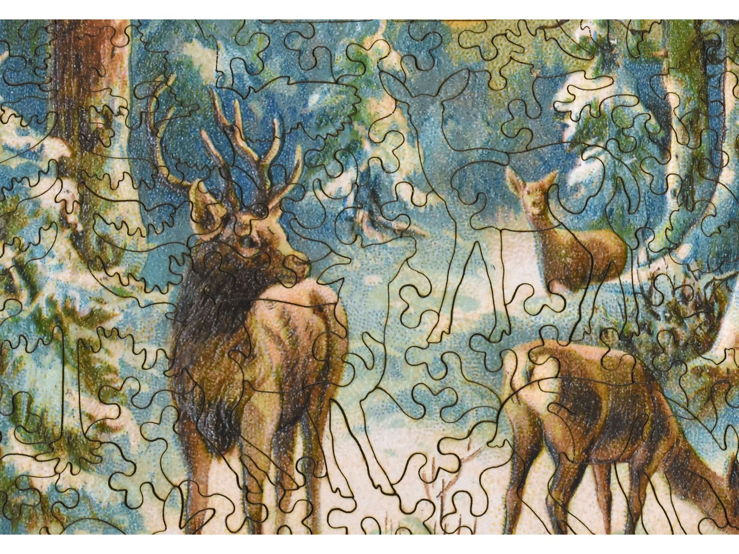 A closeup of the front of the puzzle, Foraging at First Light.