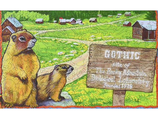 A closeup of the front of the puzzle, Gothic, Colorado.
